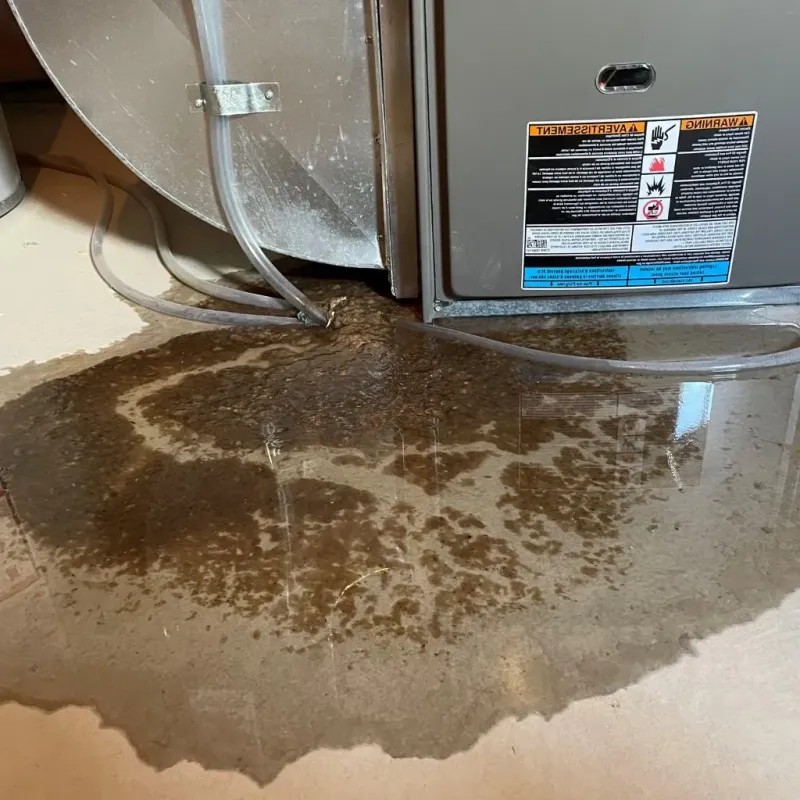 Pipe Burst and Leak Restoration in Dakota City, IA