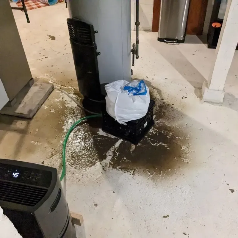 Sewage Backup Cleanup Service in Dakota City, IA